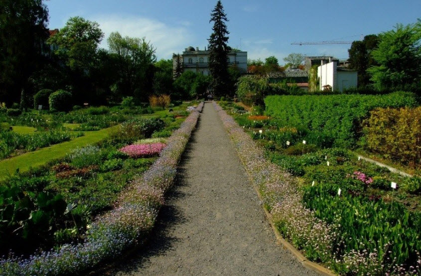 Botanical Garden of the Jagiellonian University, Poland